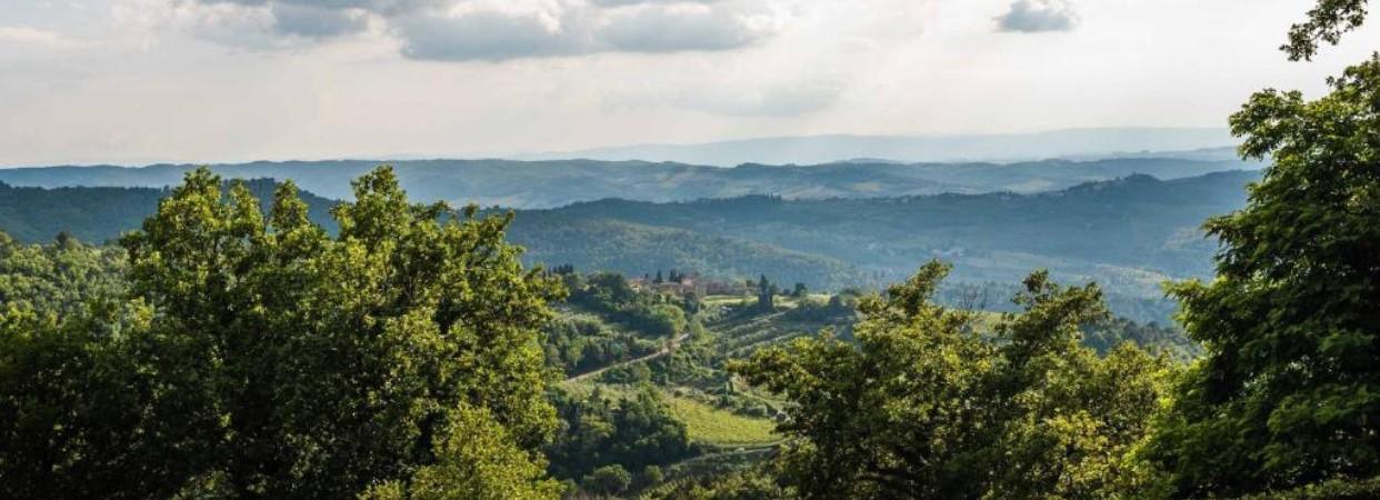 Green Tuscan hills and vineyards seen from a hilltop above Greve in Chianti