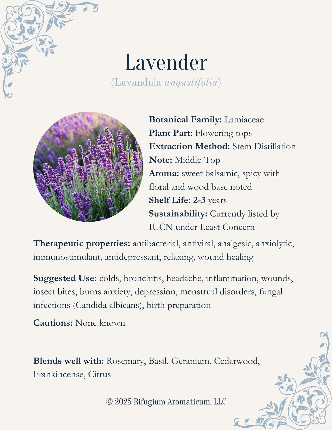 Lavender profile card