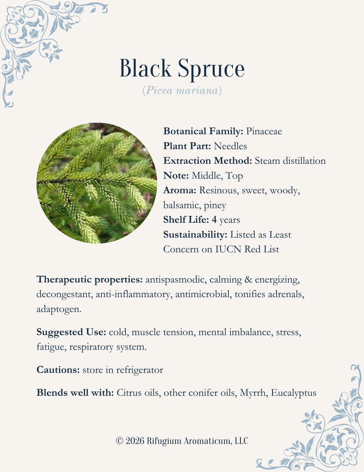 Spruce, Black