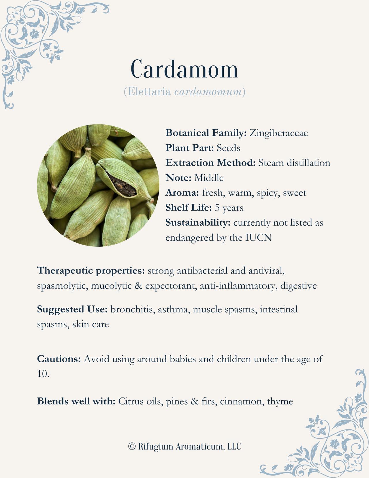 Cardamom