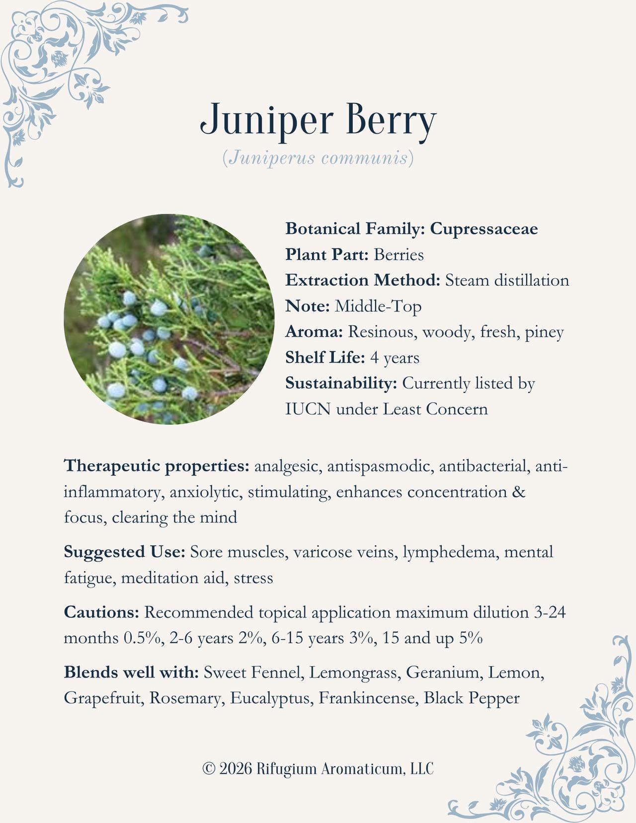 Juniper Berry