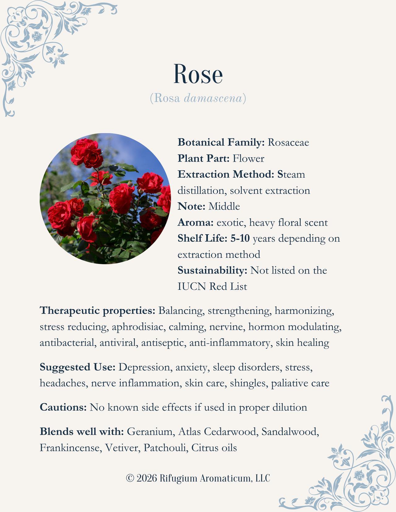 Rose