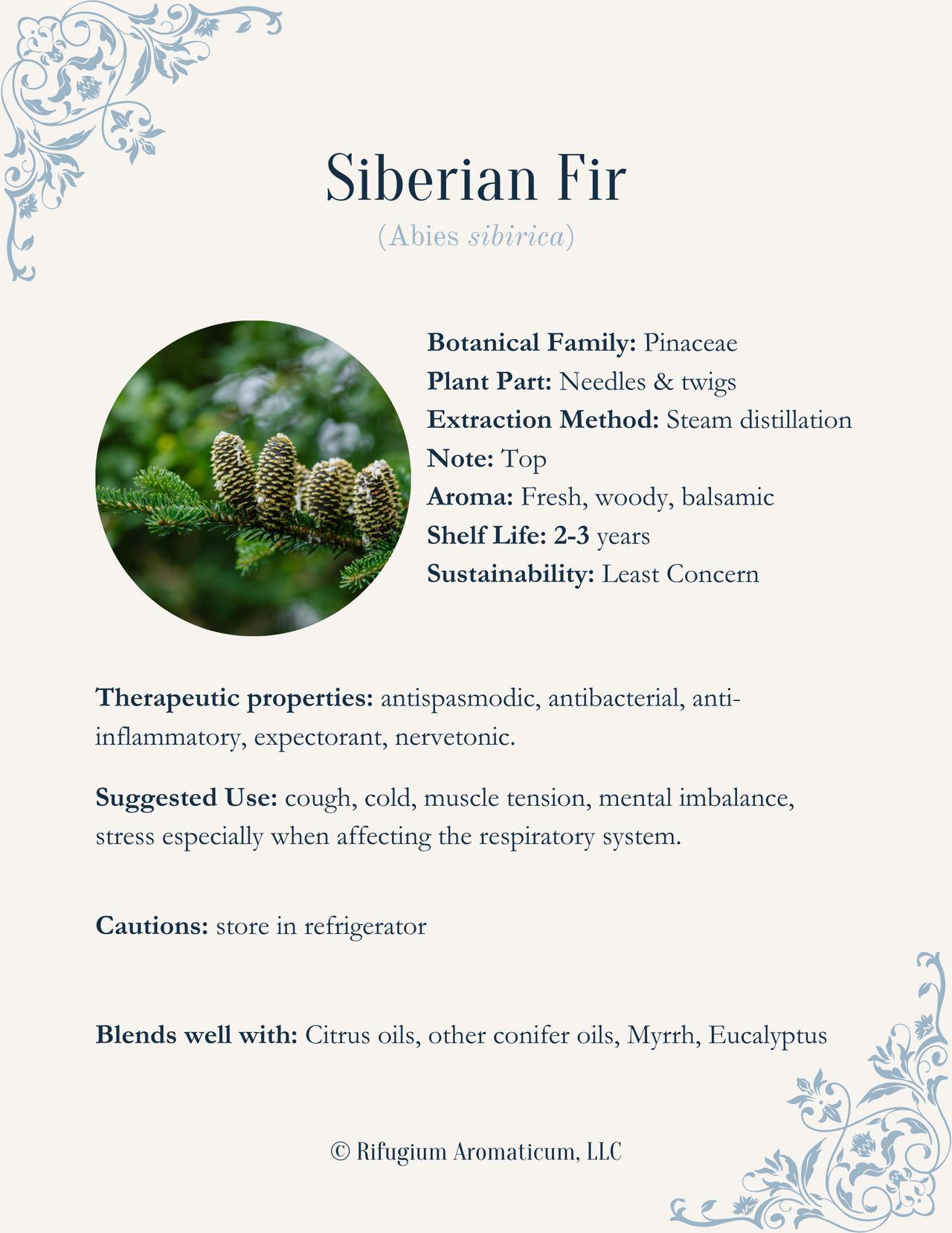 Fir, Siberian