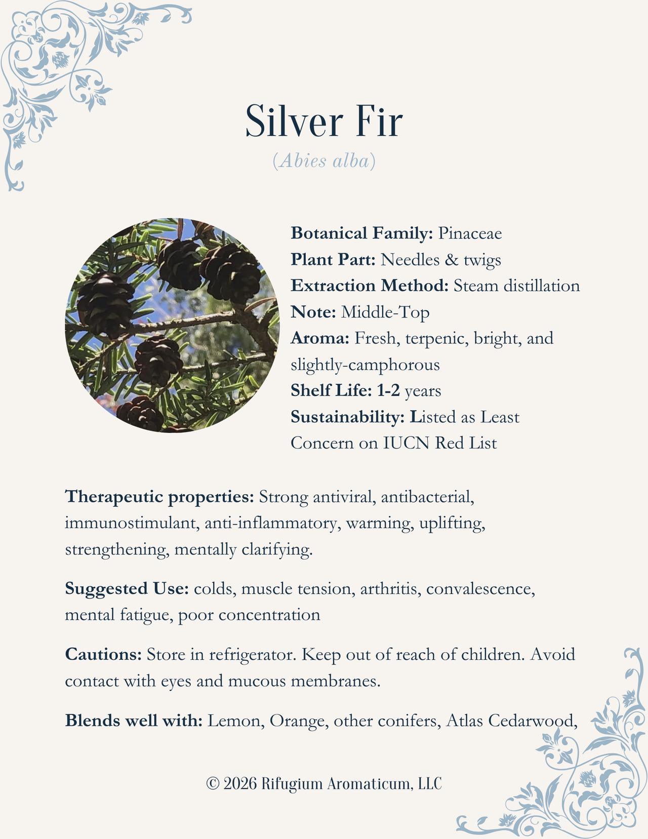 Fir, Silver